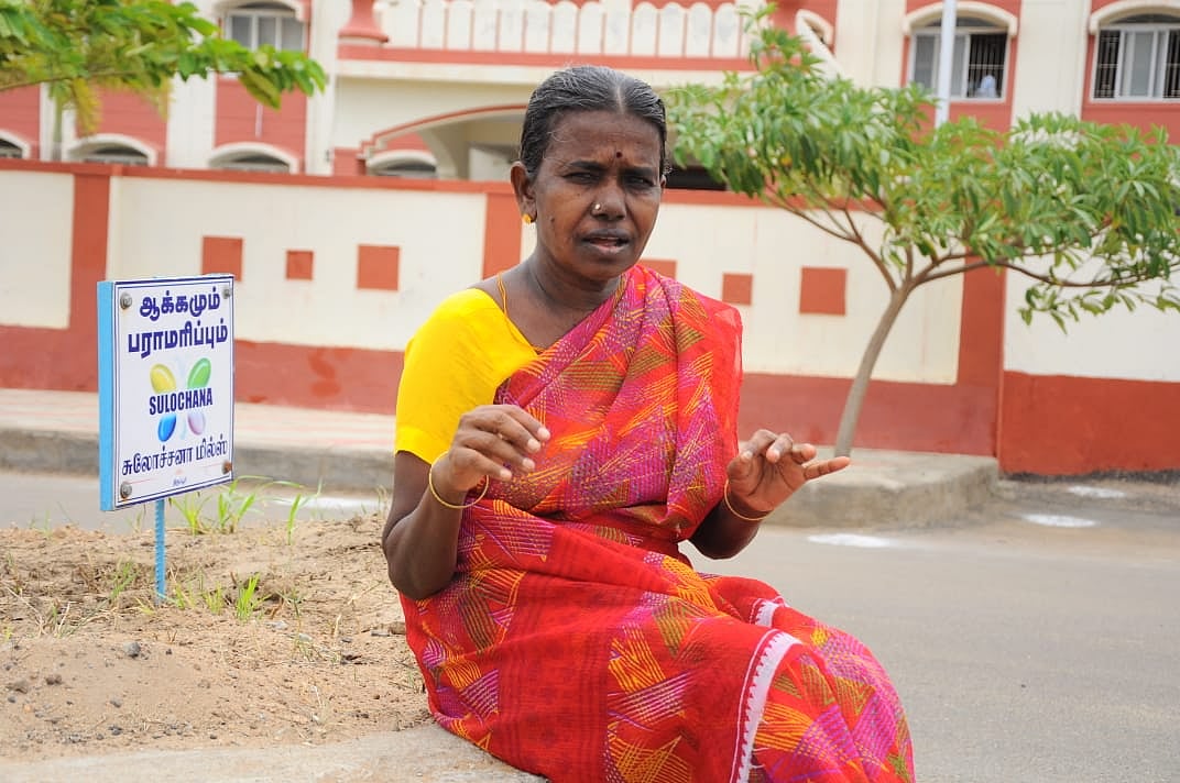 பாப்பாள்